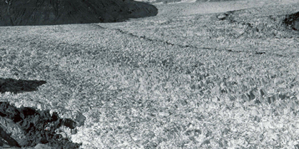 Photo of Muir Glacier in 1941