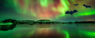 Green and red colors from an aurora over a mountainous landscape and large body of water.