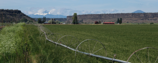 Photo of green hayfield in Oregon. Credit NOAA.