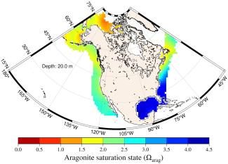 Aragonite saturation state (or Omega) is a good index to track ocean acidification, with higher Omega favoring precipitation and lower Omega favoring dissolution. When aragonite saturation state falls below 3, some organisms become stressed, and when saturation state is less than 1, shells and other aragonite structures could begin to dissolve. In the picture above, you can see the coasts of Alaska suffer from a higher degree of acidification, while the Gulf of Mexico is much better off.