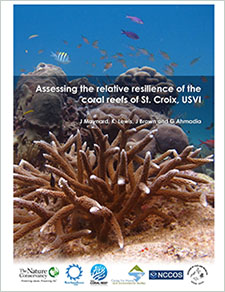 Assessing the relative resilience of the coral reefs of St. Croix, USVI