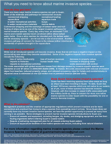 What you need to know about marine invasive species