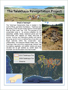 The Talakhaya Revegetation Project