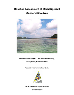Baseline assessment of Medal Ngediull Conservation Area