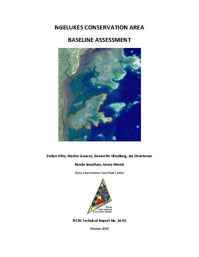 Ngelukes Conservation Area baseline assessment