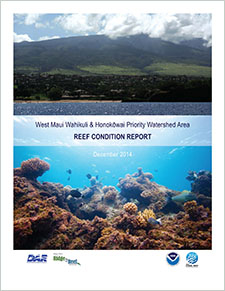 West Maui Wahikuli and Honokowai priority watershed area: Reef condition report