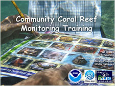 Community coral reef monitoring training
