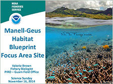 Manell-Geus habitat blueprint focus area site