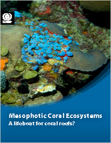 Mesophotic coral ecosystems: A lifeboat for coral reefs?