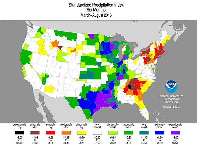 6-month Standardized Precipitation Index