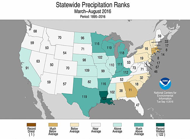Map showing March-August 2016 state precipitation ranks