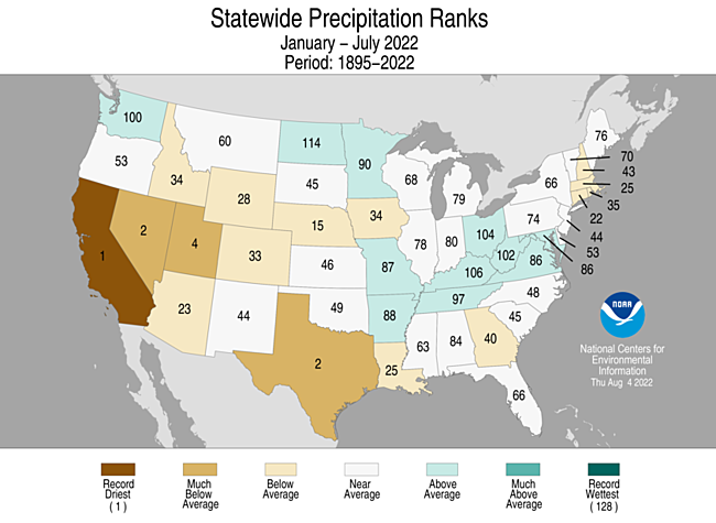 Map showing January-July 2022 state precipitation ranks