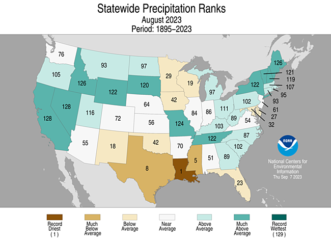 Map showing August 2023 state precipitation ranks