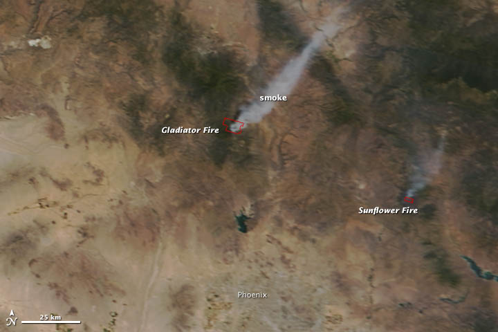 Satellite Image of Gladiator and Sunflower Fires