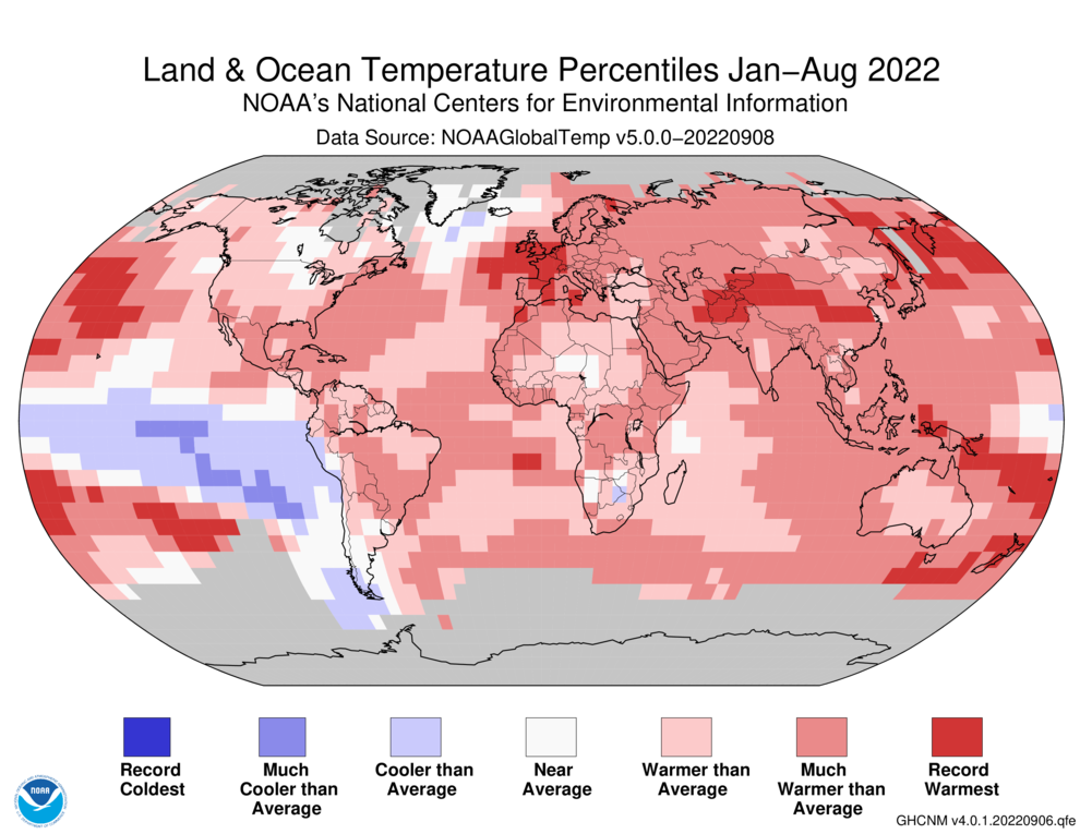 January–August 2022 Blended Land and Sea Surface Temperature Percentiles