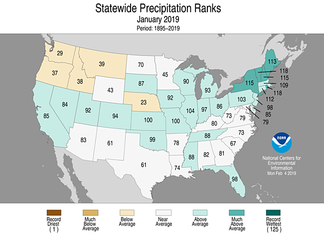 January 2019 Statewide Precipitation Ranks Map
