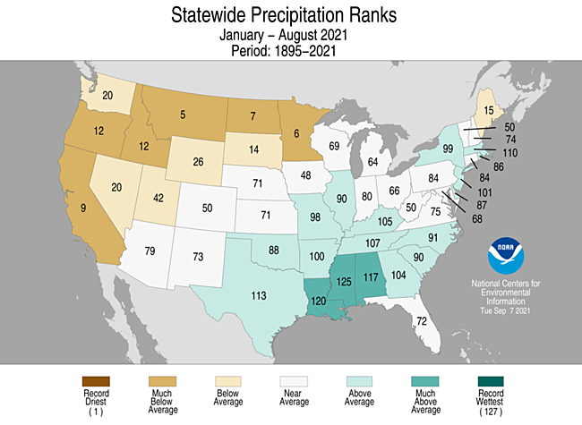 January-August 2021 Statewide Precipitation Ranks Map