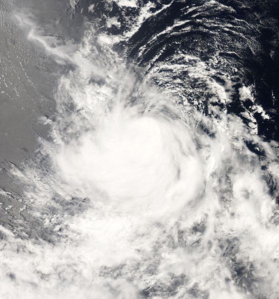 Tropical Storm Iselle