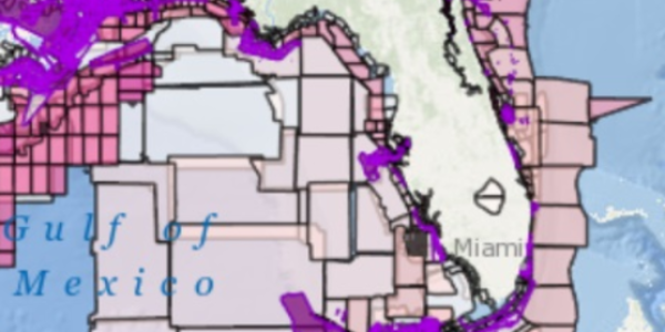 Map of Florida and West Florida Escarpment based on hydrographic data.
