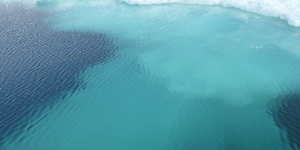 Arctic ice above and below the ocean surface
