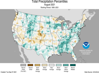 August 2021 US Total Precipitation Percentiles Map