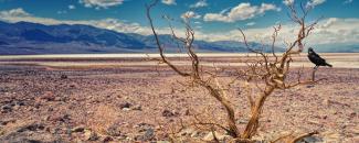 Picture of Death Valley Landscape