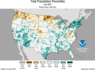 July 2021 US Total Precipitation Percentiles Map