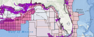 Map of Florida and West Florida Escarpment based on hydrographic data with areas of data shaded in pinks and purples around the pale green land mass of the Gulf Coast.