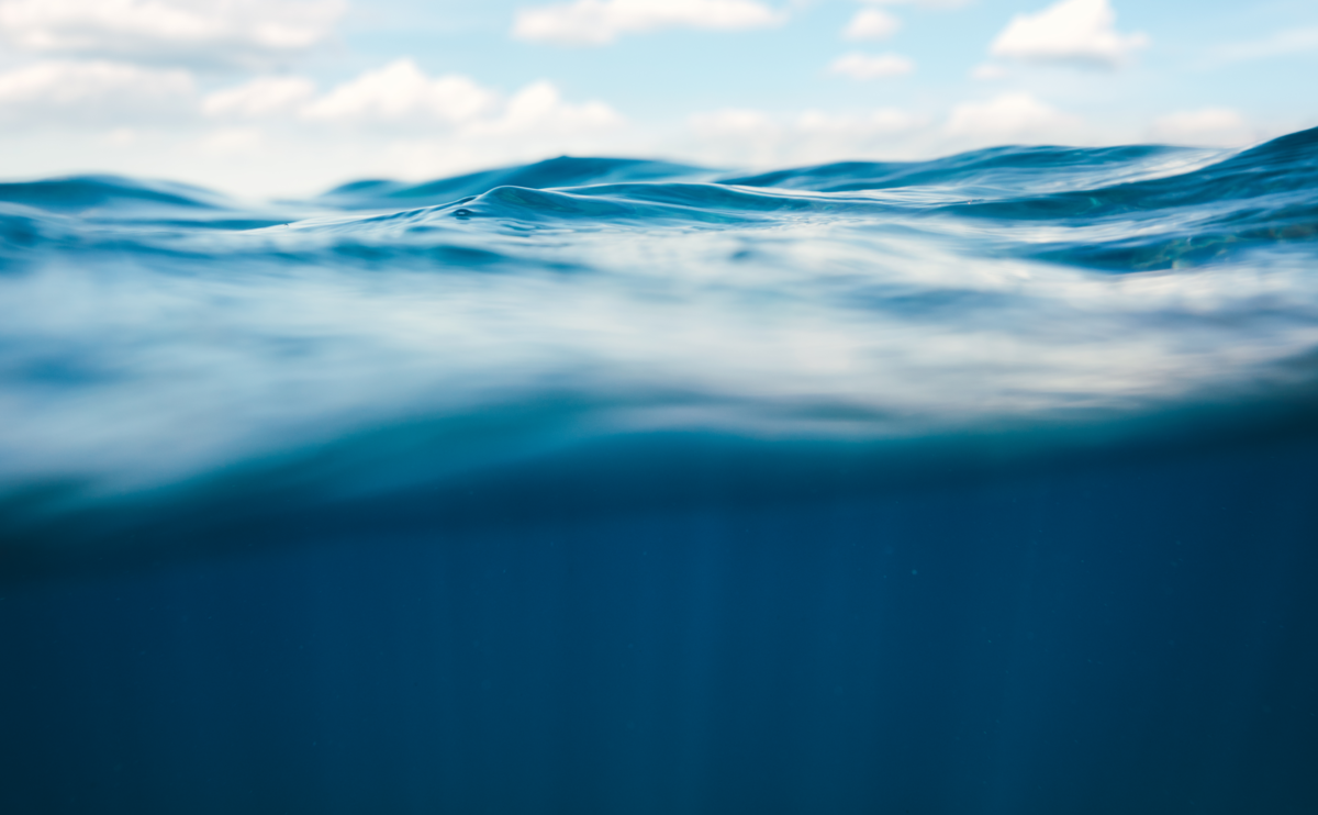 World Ocean Database | National Centers for Environmental ...