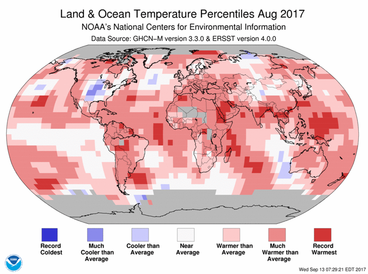 Map of global temperature percentiles for August 2017
