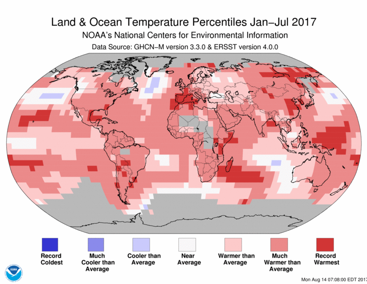 Map of global temperature percentiles for January to July 2017