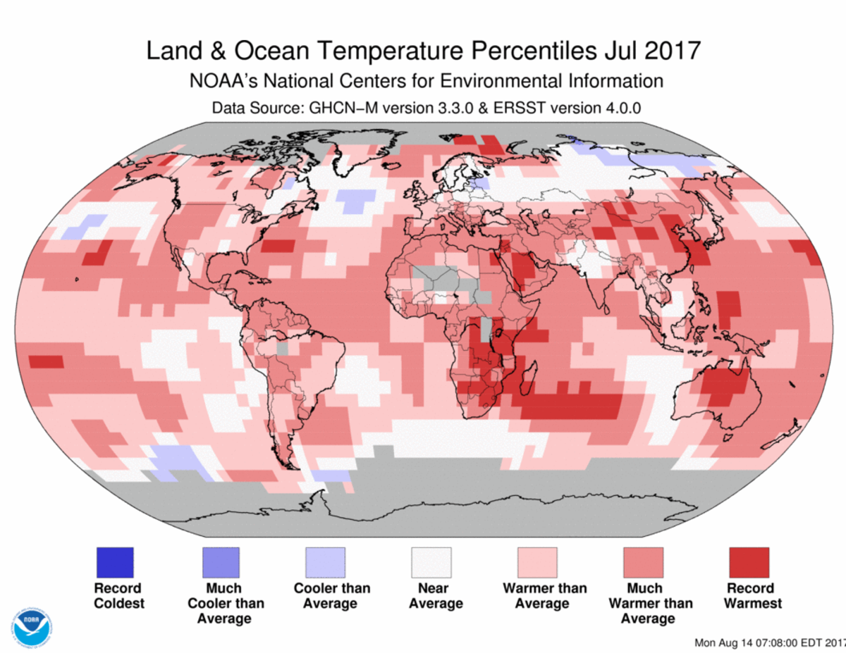 Map of global temperature percentiles for July 2017