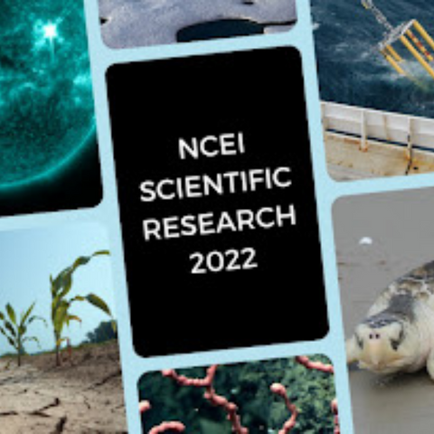 2022 NCEI Publications