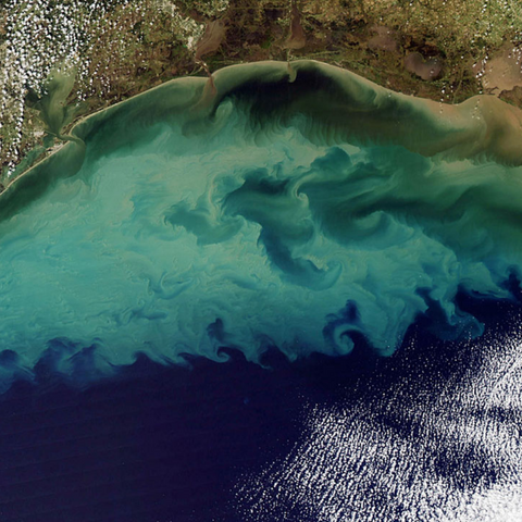 Uncovering the Secrets of the Gulf of Mexico’s Deep Waters