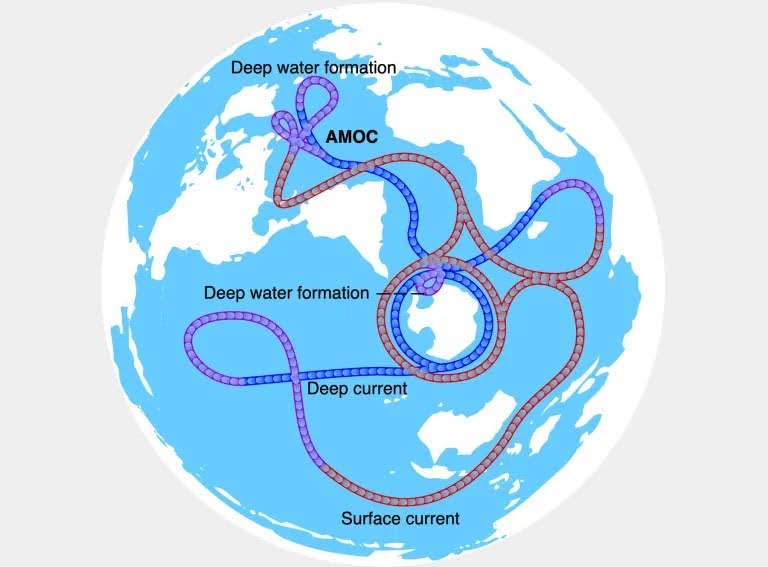 Global map of the World Ocean with a graphic of the global thermohaline circulation, the ocean currents driven by seawater density.