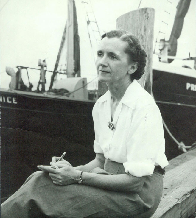 Rachel Carson at the dock in Woods Hole, MA in 1951.