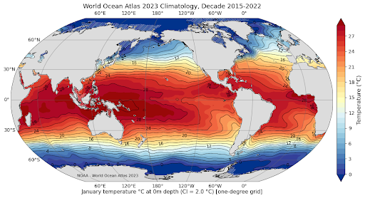 World Ocean Atlas 2023 Climatology, Decade 2015--2022