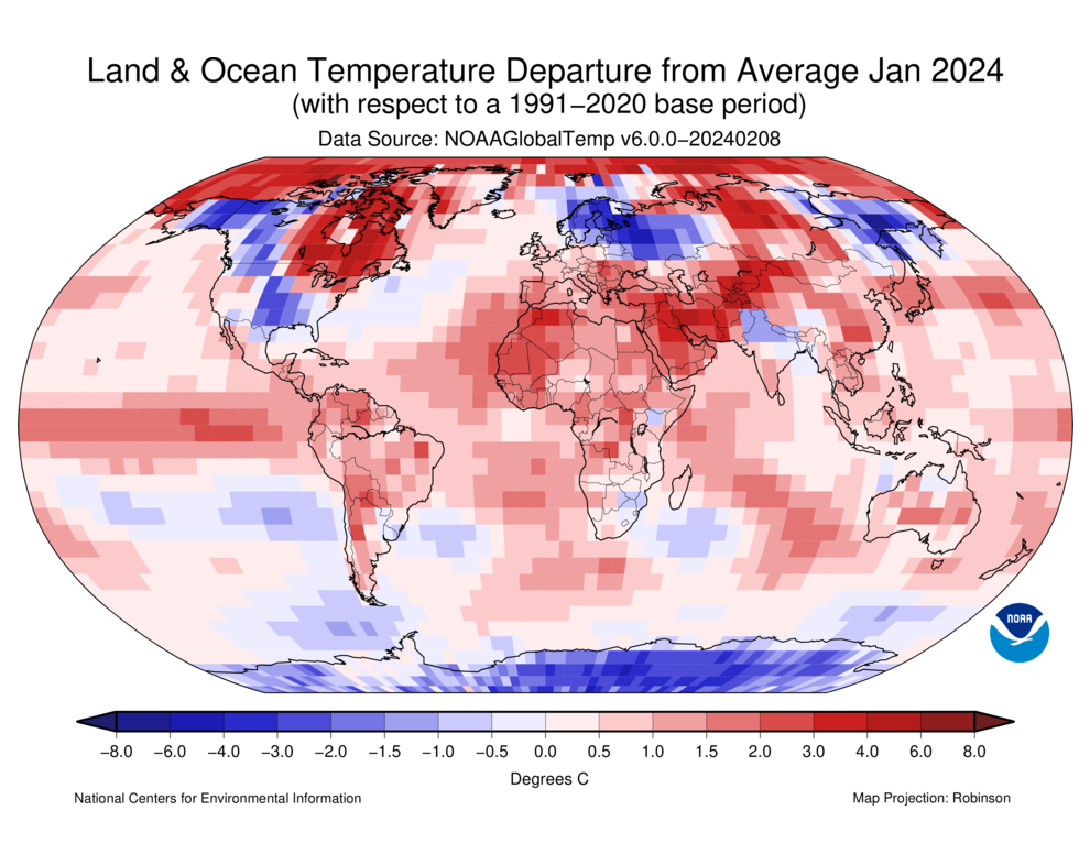 Map of Land & Ocean Temperature Departure from Average for the globe in Jan 2024 with cooler areas shaded in blue and warmer areas shaded in red.