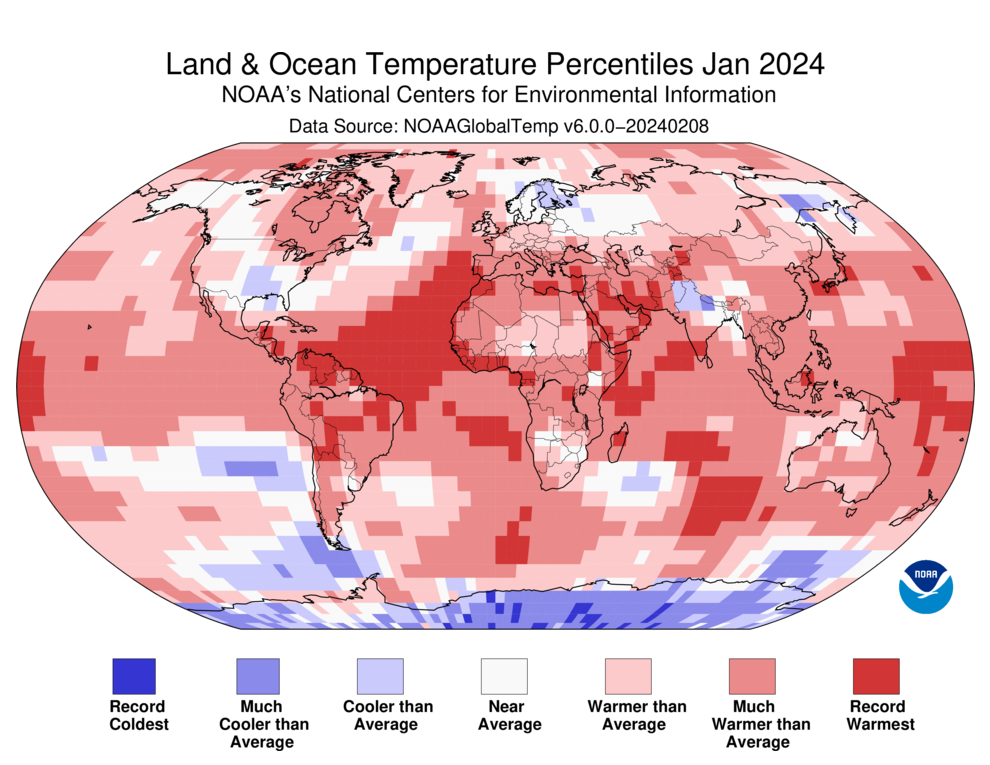 Map of the world showing land/ocean temperature percentiles for January 2024 with warmer areas in gradients of red and cooler areas in gradients of blue.