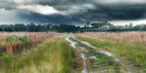 Alt text: A grassy landscape with a sandy path winding through it and a dark, stormy sky in the background.