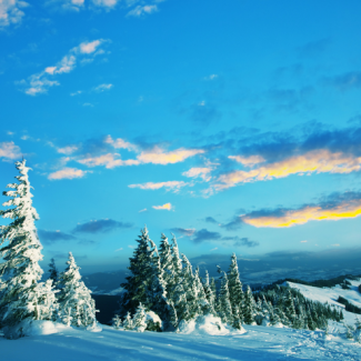 Blue sky and sunlit clouds with a field of trees decked in snow and mountains in the background.