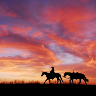 Silhouette of a person in a cowboy hat riding a horse and leading another horse with the sunset casting orange colors against the clouds. 