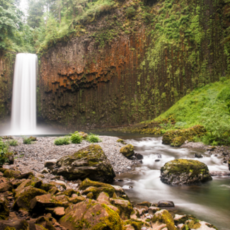 Waterfall in the Pacific Northwest surrounded by lush greenery.