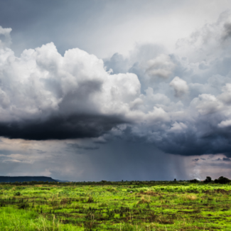 Dark storm clouds looming over a prairie with vibrant green grass.