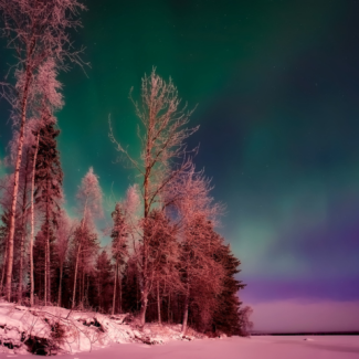 Aurora borealis setting green and blue hues over the ocean with trees and shoreline set off to the left.