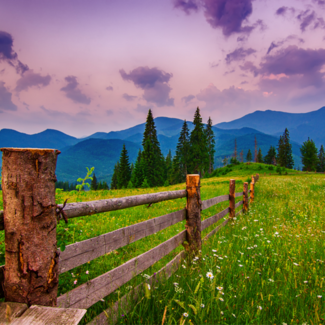 Fence post reaching into a field of wildflowers, with dramatic cloudy sky and mountains in background