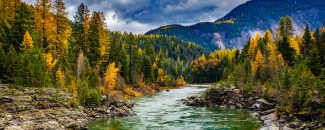 River running through a forest of green trees with the start of yellow foliage and mountains in the background.