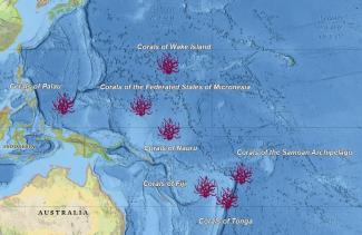 Alt text: Map showing locations of the corals of Wake Island, Tonga, Fiji, Palau, Federated States of Micronesia, Samoan Archipelago, and Nauru. 