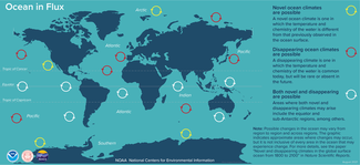 Graphic showing areas of the ocean where changes could occur due to climate change, posing risks to marine life.