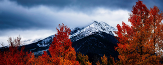 Photo of mountains in Colorado in the fall